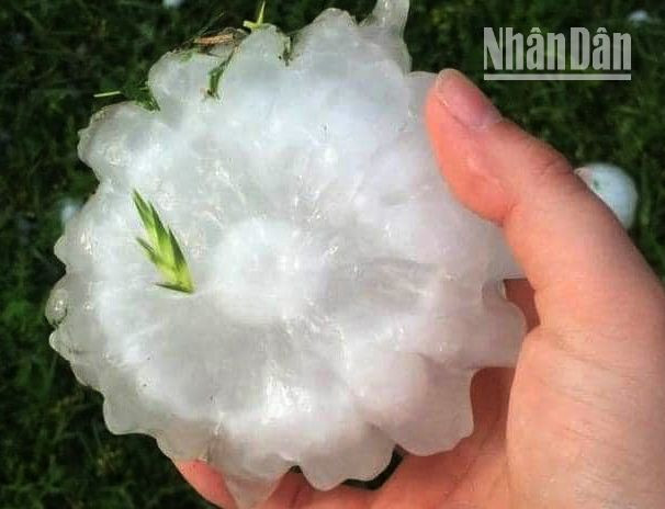 4.748 ngôi nhà ở Sơn La bị thiệt hại do mưa đá, gió lốc ảnh 3