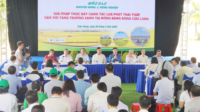 Quang cảnh diễn đàn“Giải pháp thúc đẩy canh tác lúa phát thải thấp gắn liền với tăng trưởng xanh tại vùng Đồng bằng sông Cửu Long”.