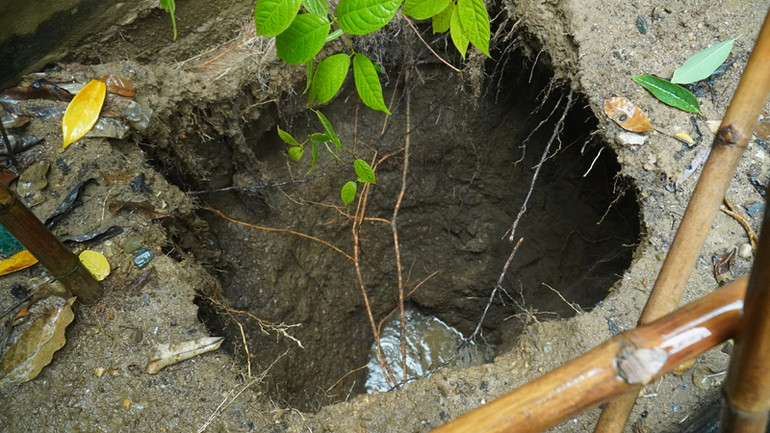 Hố sụt lún trong vườn nhà bà Đoàn Thị Thức ở huyện Cam Lộ.