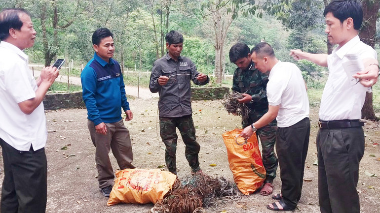 Lực lượng nhận khoán bảo vệ rừng tự nguyện tham gia tháo gỡ bẫy động vật hoang dã và nộp lại cho Ban quản lý Khu bảo tồn thiên nhiên Đakrông.