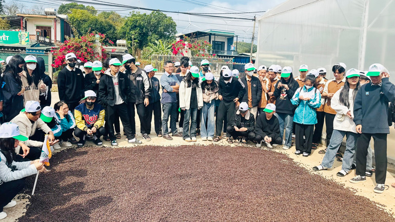 Học sinh tìm hiểu quy trình phơi hạt cà phê của nhà máy chế biến cà phê Hướng Tân.