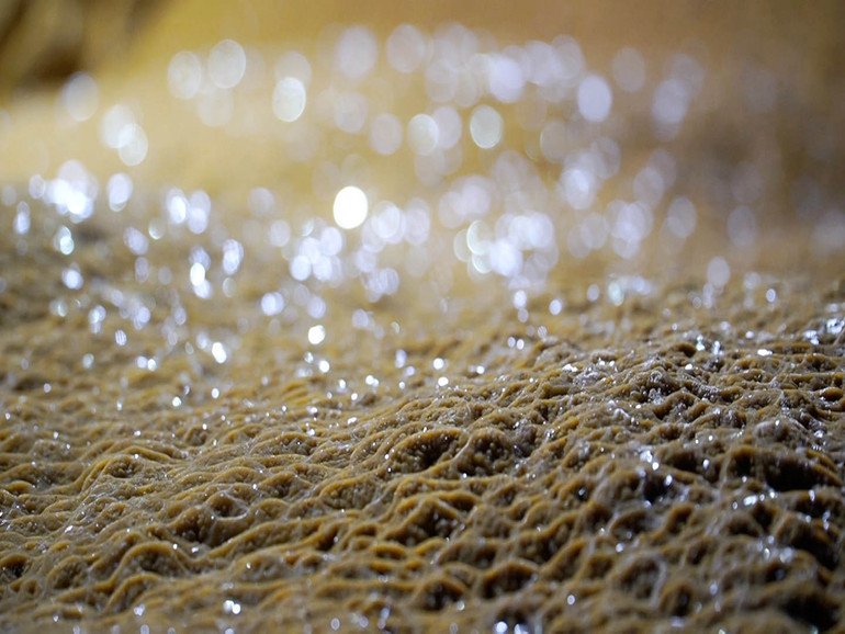 Những lớp nhũ màu vàng trong hang.