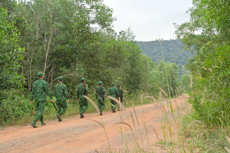 Kiên Giang: Nắng nóng, khô hạn nguy cơ xảy ra cháy rừng ảnh 1