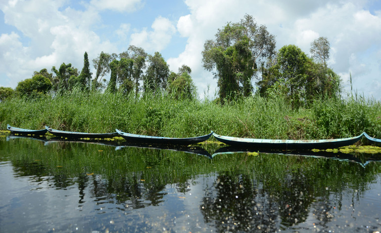 Vườn quốc gia U Minh Thượng.