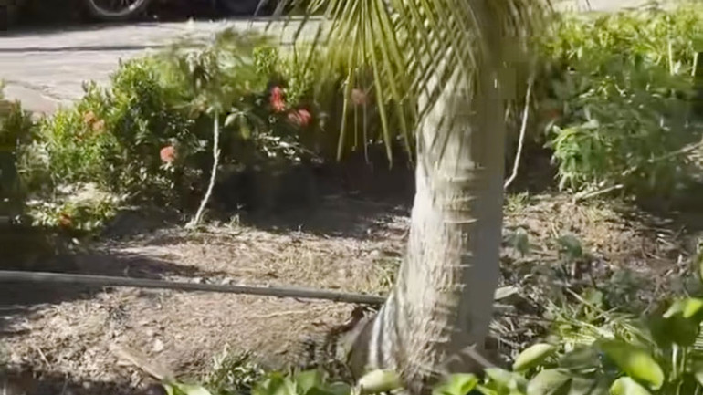 Vị trí nạn nhân tử vong.