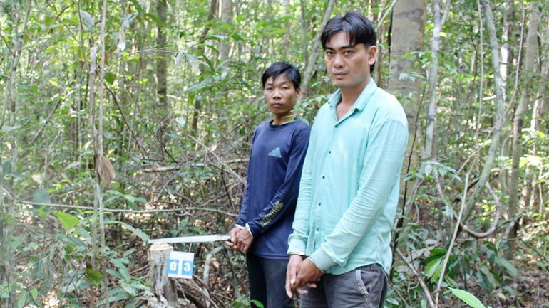Hai trong nhóm các đối tượng khai thác gỗ trái phép bị bắt. (Ảnh: Kiểm lâm cung cấp). Hai trong nhóm các đối tượng khai thác gỗ trái phép bị bắt. (Ảnh: Kiểm lâm cung cấp).