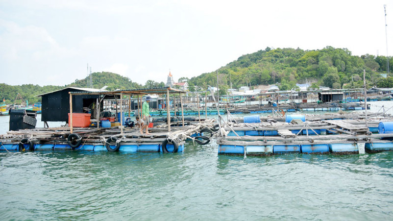Nuôi cá lồng bè ở xã đảo Tiên Hải, thành phố Hà Tiên.