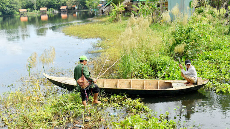 Lực lượng chức năng sử dụng kích điện để truy tìm cá sấu.
