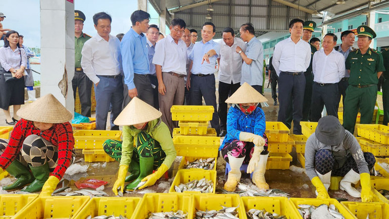 Phó Thủ tướng Trần Lưu Quang thị sát tại Cảng cá Tắc Cậu, huyện Châu Thành, tỉnh Kiên Giang.