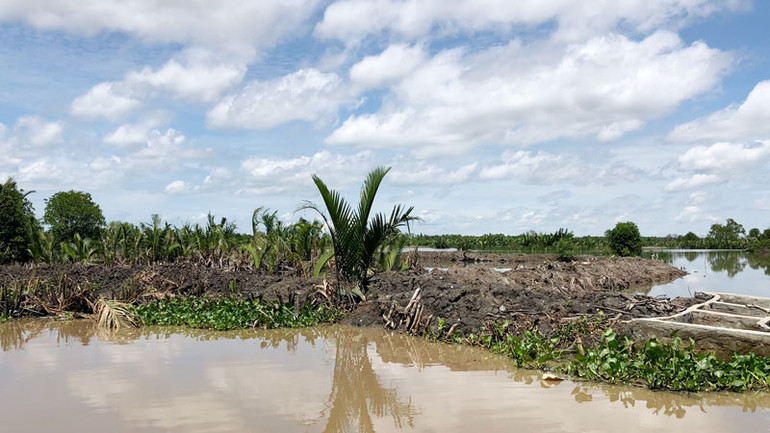 Người dân lấn chiếm đất dừa nước đắp đập thành vuông nuôi hải sản tại đầm Đông Hồ.