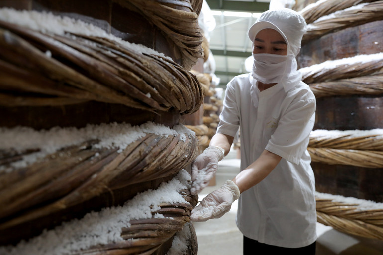 Về Khúc Phụ nếm nước mắm, xem ủ chượp cá cơm ảnh 4