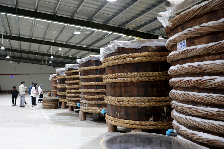 Người làm nước mắm cho biết: Hỗn hợp chượp được trộn theo tỉ lệ 3 cá - 1 muối, được nén chặt vào thùng gỗ trong nhà tôn kín để cá lên men tự nhiên.