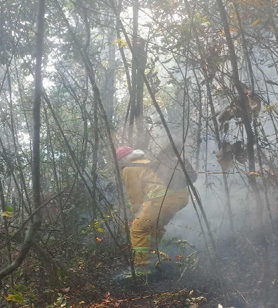 Công tác chữa cháy đang rất khó khăn.