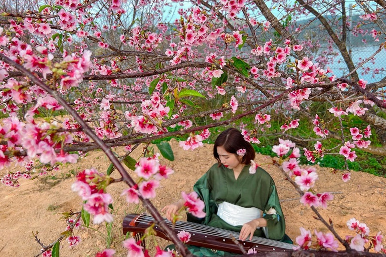 Tại đảo hoa, du khách còn có nhiều lựa chọn trải nghiệm và thưởng thức ẩm thực hai nước Việt Nam, Nhật Bản.