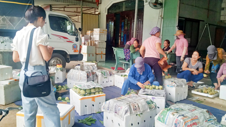 Na Võ Nhai được đóng gói đưa đi tiêu thụ ở nhiều tỉnh, thành phố.