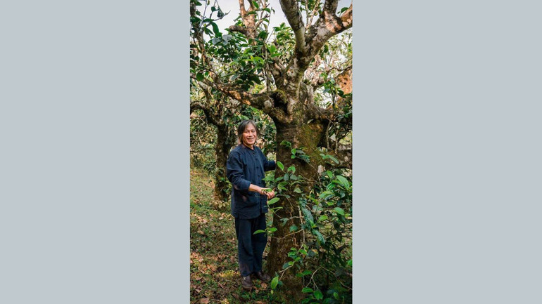 Ở tuổi lục tuần, Nghệ nhân Hồ Ngọc Lâm vẫn miệt mài truyền bá văn hóa trà Việt bằng những video kể chuyện bình dị, gần gũi nhưng giàu sức lay động.