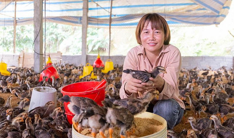 Phụ nữ trong Dự án R2E tại Yên Bái. (Ảnh: CARE quốc tế tại Việt Nam)