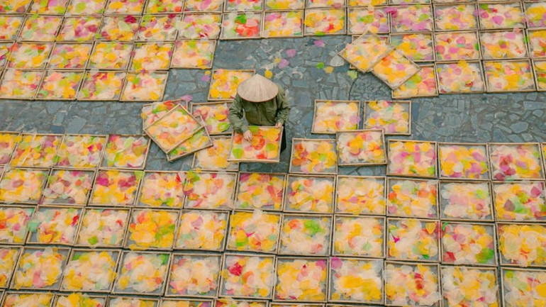 Phơi lá bồ đề sau một vài công đoạn thủ công để làm tranh.