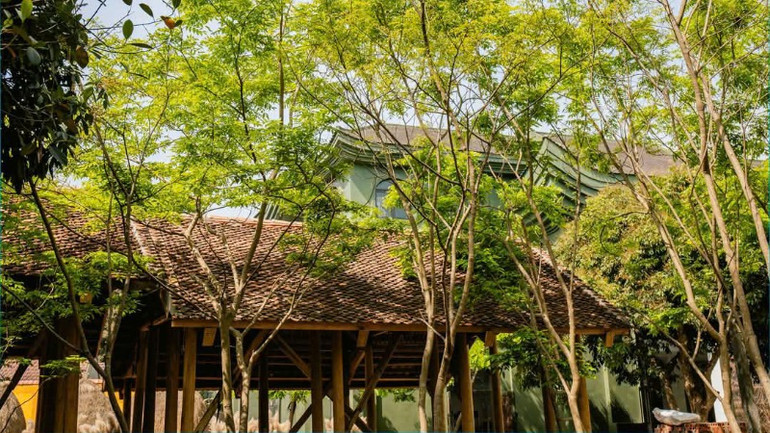 Hợp tác xã được bao phủ bởi cây xanh.