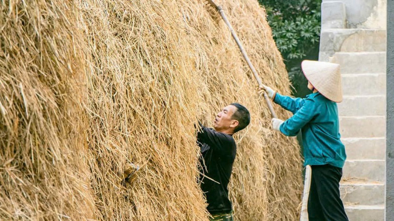 Khung cảnh quen thuộc trong sân hợp tác xã.