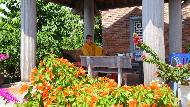 Trong không gian chùa, có khoảng 60 loài hoa giấy được Đại đức ươm trồng, chăm sóc.