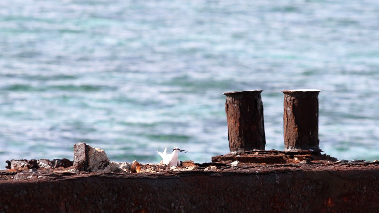 Những mảng màu đối lập mà nên thơ.