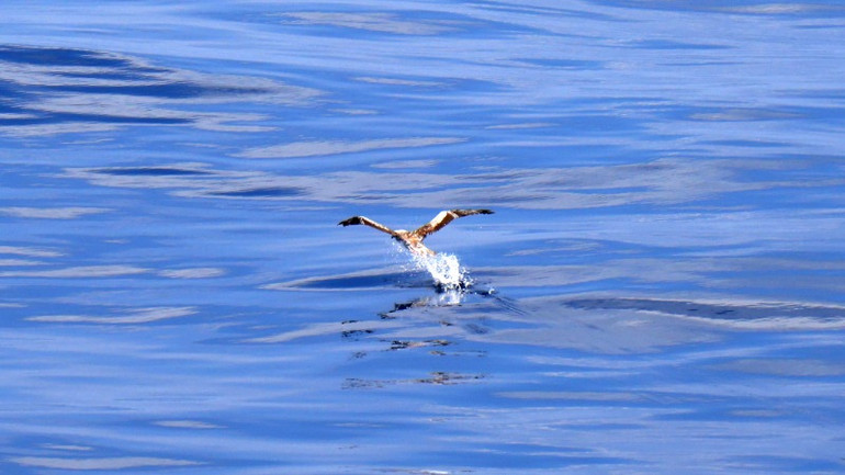 Khoảnh khắc không được mong chờ.