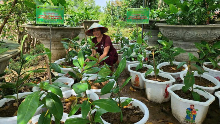 Chị Trần Thị Thanh Nhàn tận tụy với vườn ươm cây bàng vuông Trường Sa.