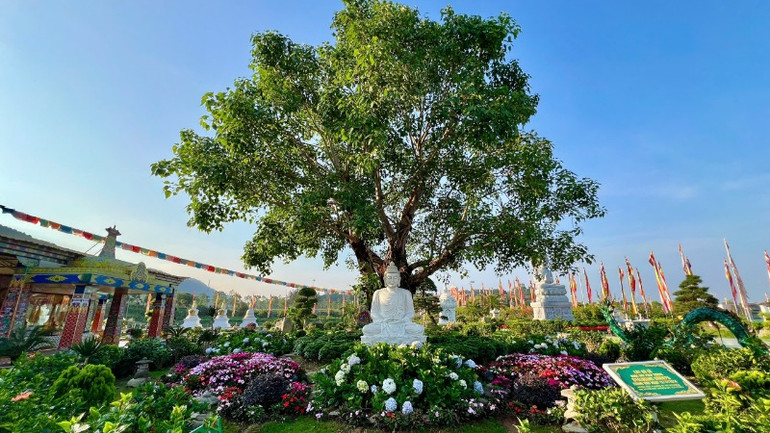 Quang cảnh bình yên mùa Phật đản.