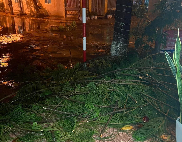 Cành cây bị lốc cuốn thành từng đống như có bàn tay người xếp lại.