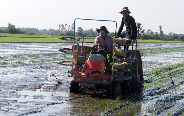 Nông dân huyện Tháp Mười, tỉnh Đồng Tháp tích cực trong thi đua sản xuất.