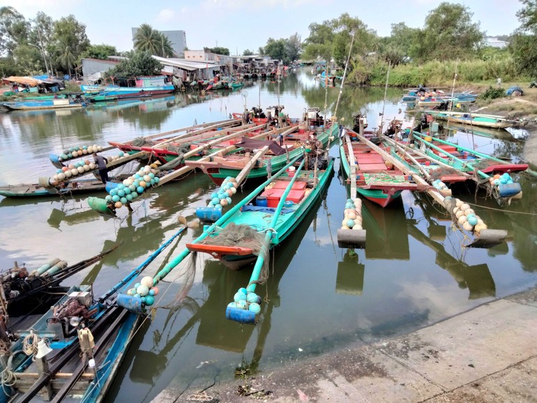 Các loại cào bờ, xiệp mé dùng ngư lưới cụ có mắt lưới nhỏ hoạt động liên tục làm cho các loài hải sản không kịp tái tạo. (Ảnh QUỐC TRINH)