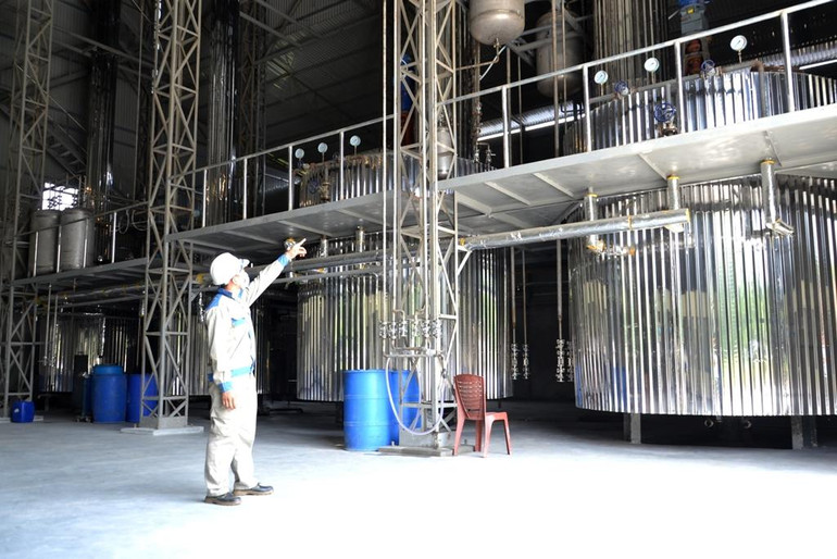 Dây chuyền tinh cất tinh dầu quế chất lượng cao của Công ty Triều Dương (Bảo Yên- Lào Cai)