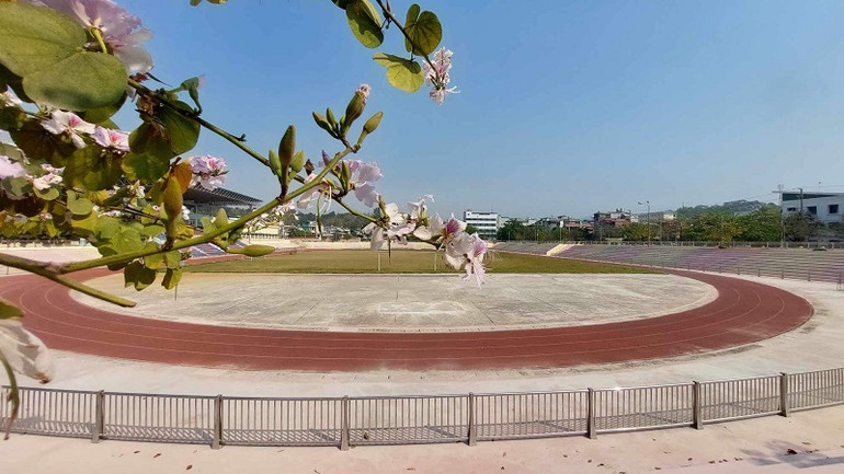 Hàng rào ngăn trong sân vận động đã được hoàn thiện.