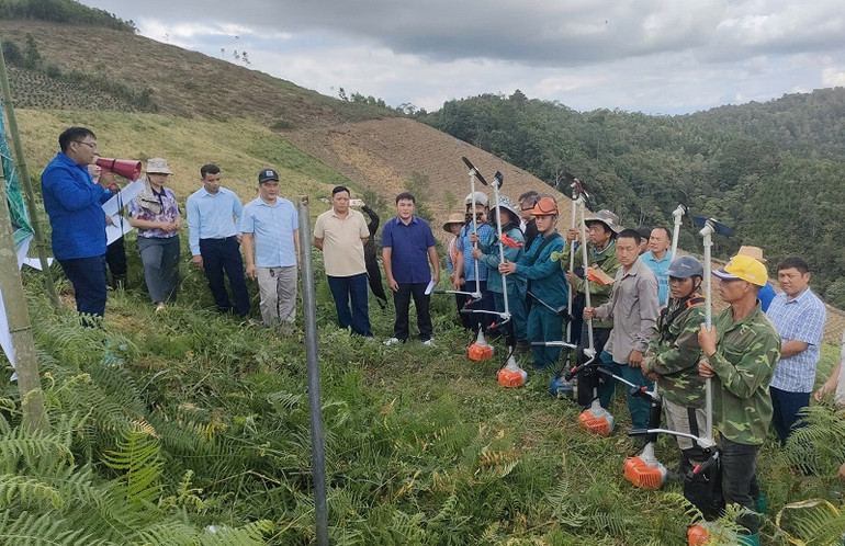 Thành viên 6 đội thi nghe phổ biến quy chế nội dung thi phát cỏ chăm sóc cây mắc-ca. Thành viên 6 đội thi nghe phổ biến quy chế nội dung thi phát cỏ chăm sóc cây mắc-ca.