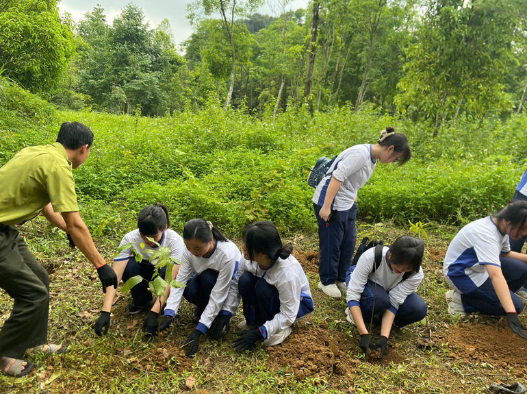 Học sinh tham gia hoạt động thực địa