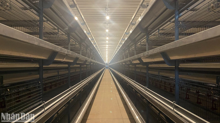 Trang thiết bị và công nghệ trong trang trại đều được cung cấp bởi các tập đoàn nổi tiếng. Trang thiết bị và công nghệ trong trang trại đều được cung cấp bởi các tập đoàn nổi tiếng.