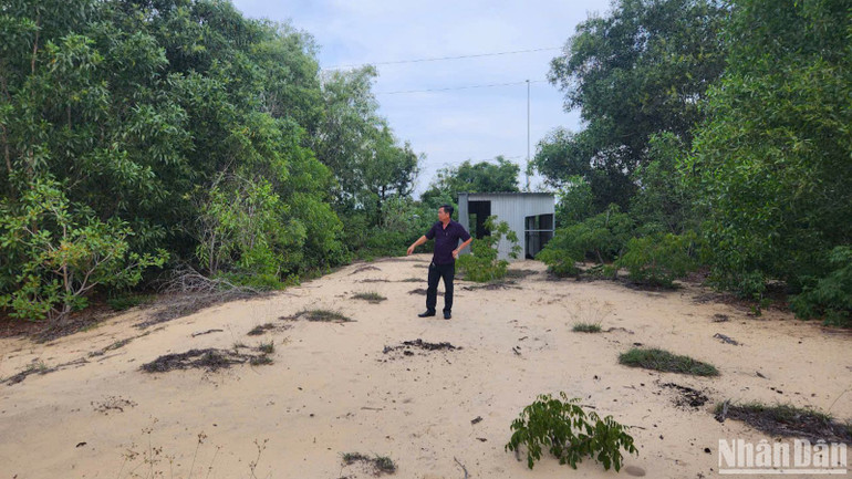 Ông Lê Văn Thành (địa chỉ khu phố Long Sơn, phường Mũi Né) khai hoang diện tích 10.063m2. Ông Lê Văn Thành (địa chỉ khu phố Long Sơn, phường Mũi Né) khai hoang diện tích 10.063m2.
