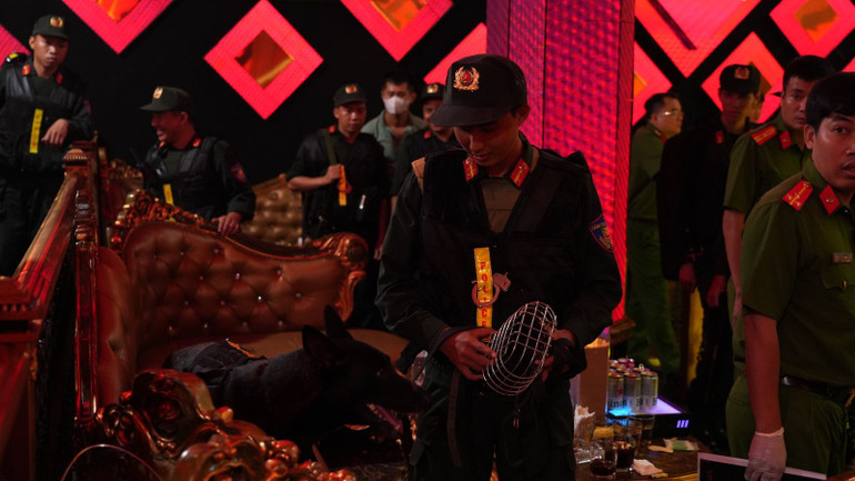 Chó nghiệp vụ tìm ma túy.