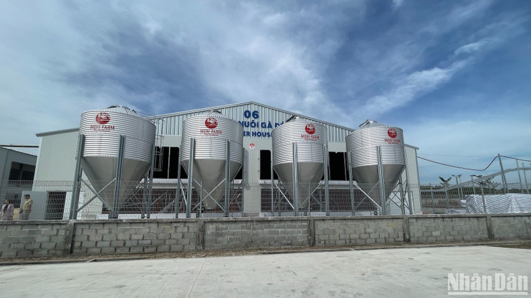 Khu chăn nuôi thiết kế đáp ứng tiêu chuẩn xanh. Khu chăn nuôi thiết kế đáp ứng tiêu chuẩn xanh.