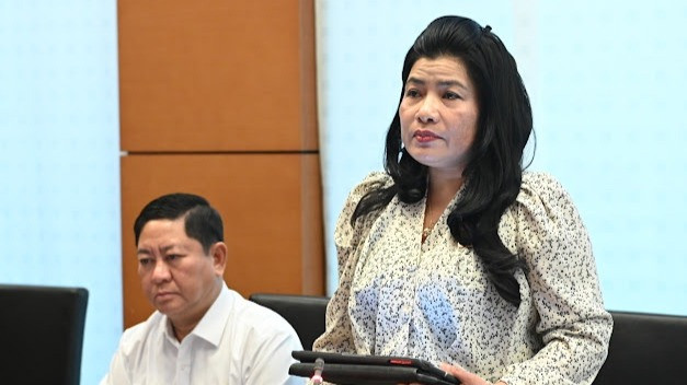 Đại biểu Đàng Thị Mỹ Hương (Đoàn Ninh Thuận) phát biểu tại tổ. (Ảnh: BÙI GIANG)