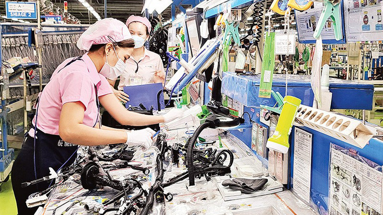 Ảnh: Trịnh Bình.