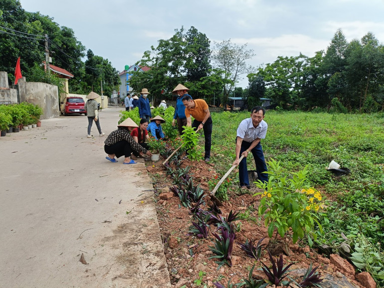 Người dân huyện Lục Nam, tỉnh Bắc Giang tích cực hưởng ứng phong trào trồng cây, tạo nên những con đường hoa mang đến sắc diện mới cho các miền quê. Người dân huyện Lục Nam, tỉnh Bắc Giang tích cực hưởng ứng phong trào trồng cây, tạo nên những con đường hoa mang đến sắc diện mới cho các miền quê.