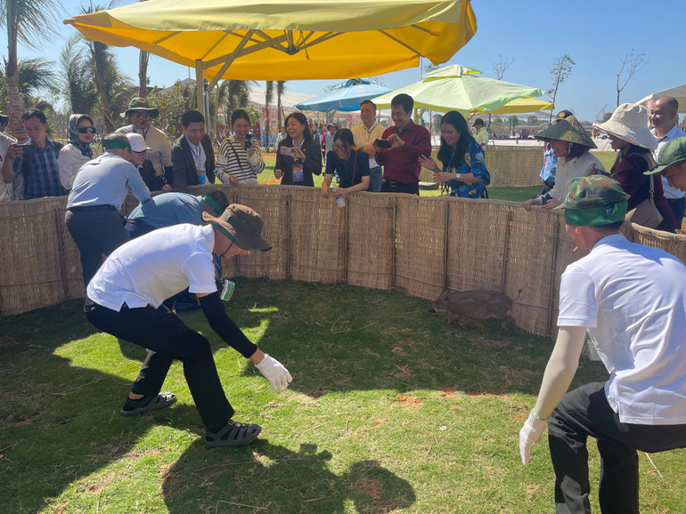 Các du khách trải nghiệm trò chơi bịt mắt bắt heo