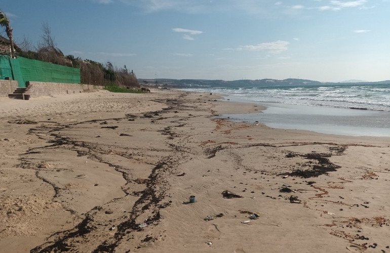 Dầu vón cục kéo dài hơn 4km