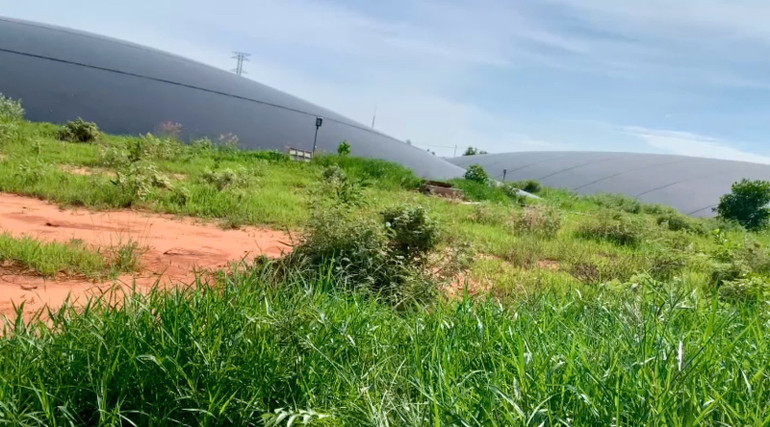 Trại heo của Công ty Trách nhiệm hữu hạn Làng Việt Nam