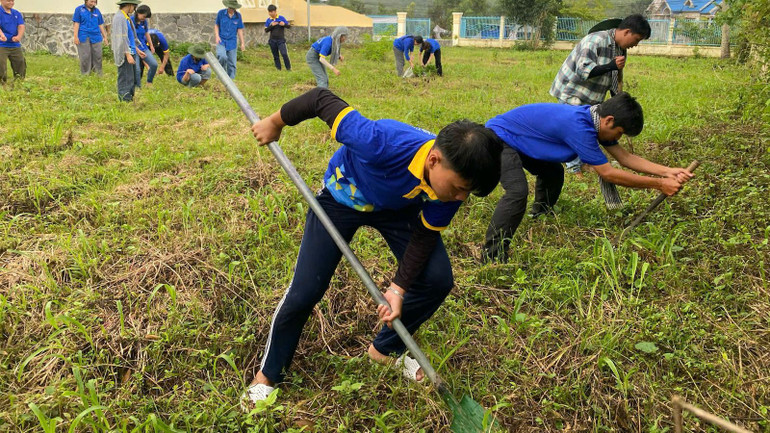 Thanh niên tình nguyện đang trồng cây