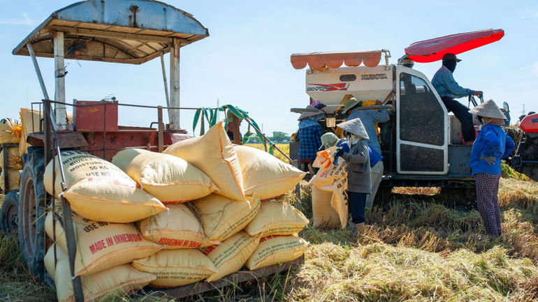 Nhờ cơ giới hóa nông nghiệp, bà con nông dân đã gia tăng năng suất công việc.