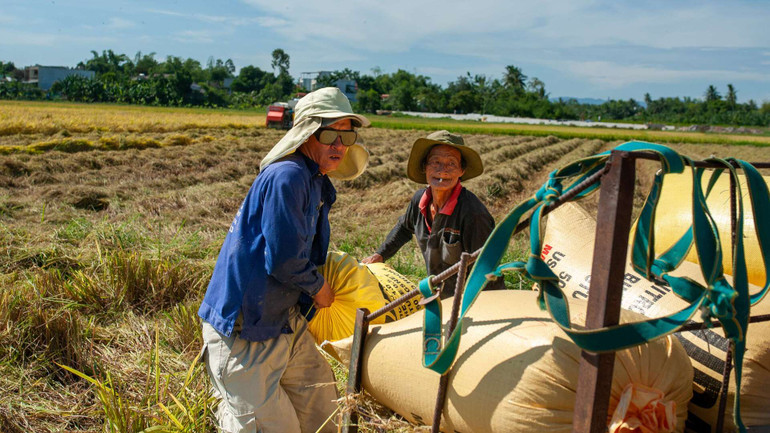 Công việc đồng ruộng vất vả, nặng nhọc.