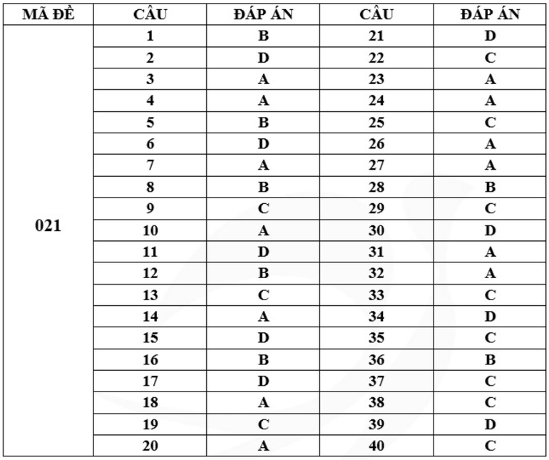 Gợi ý đáp án mã đề 021